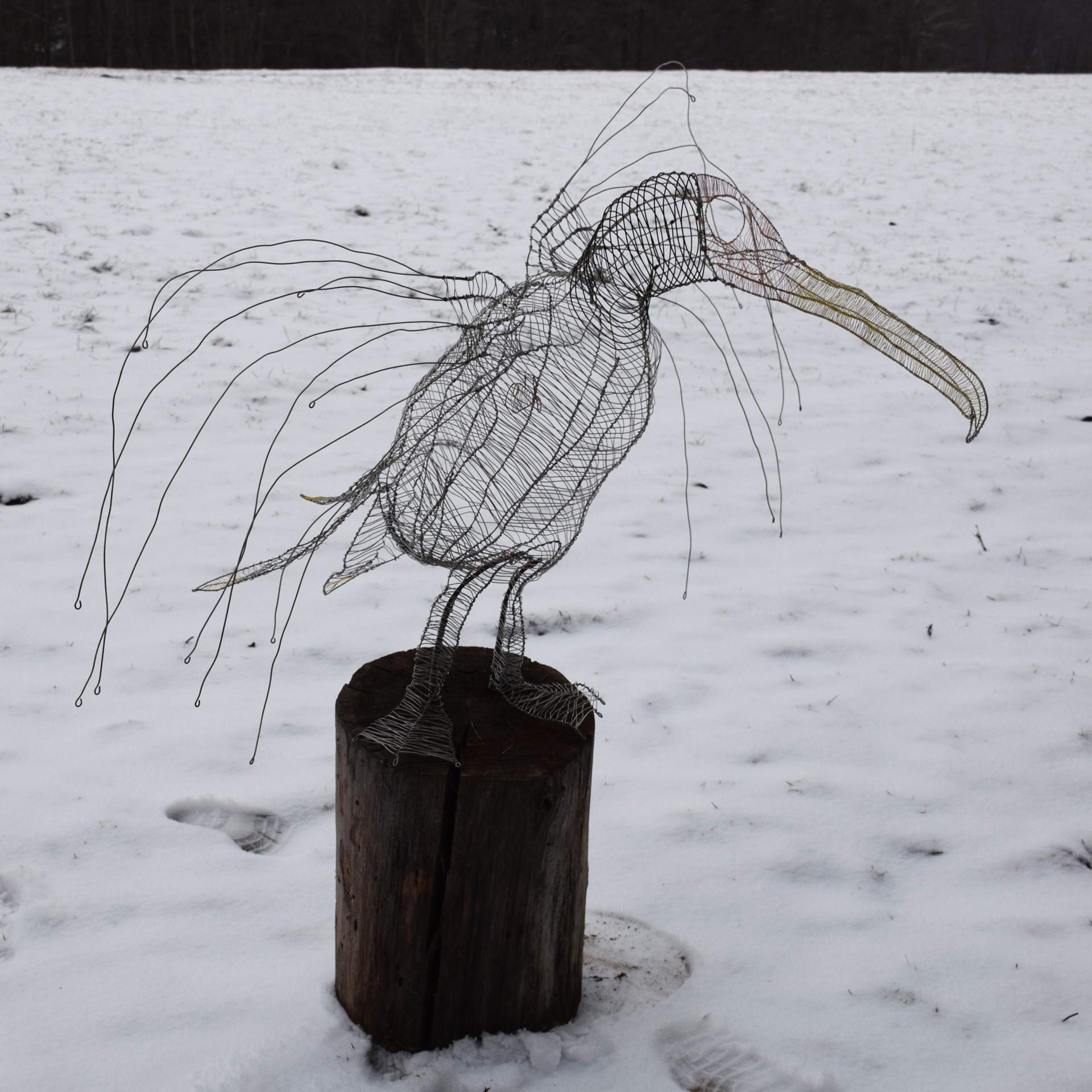 Wire bird sculpture