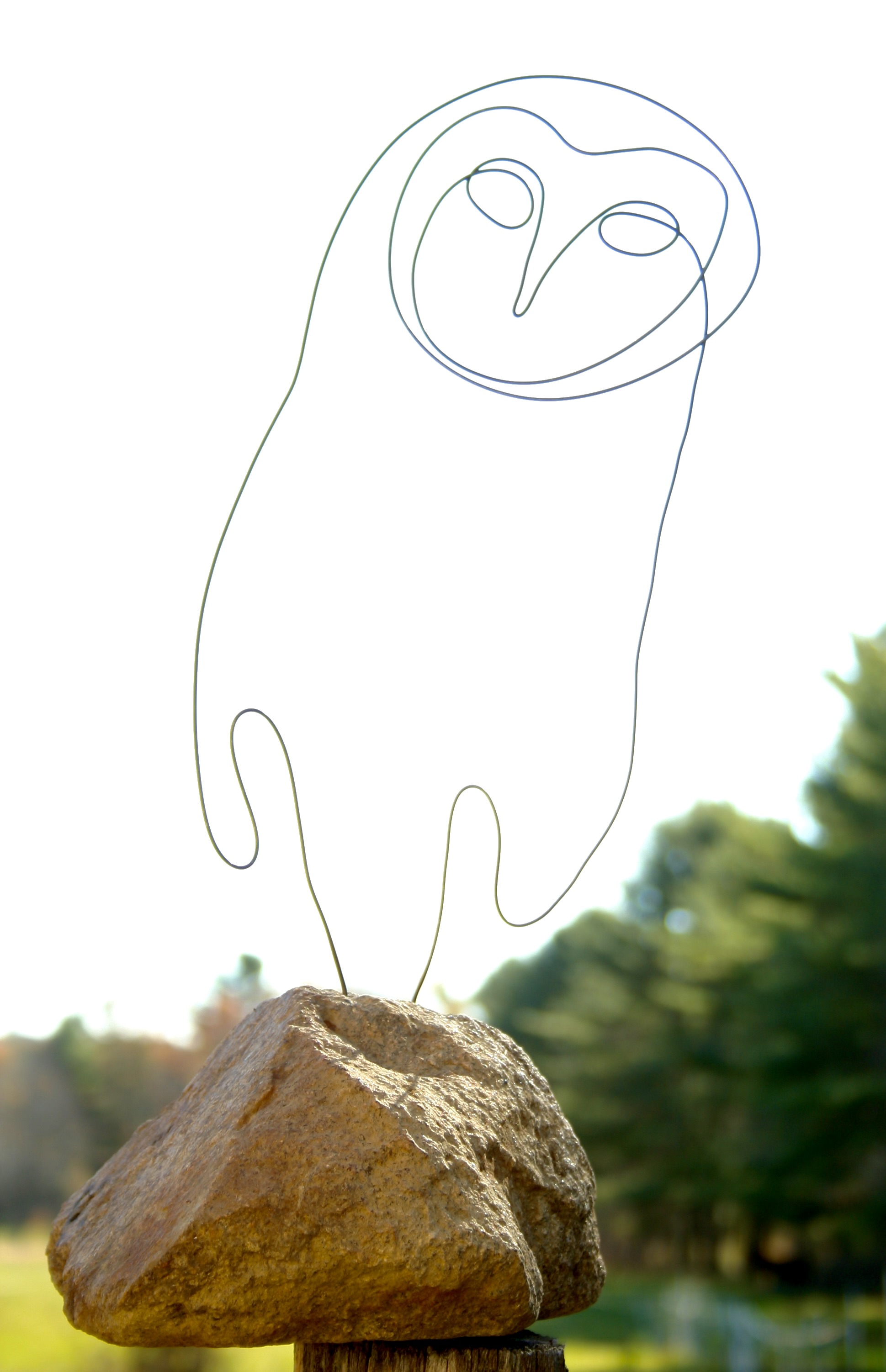 Wire bird sculpture