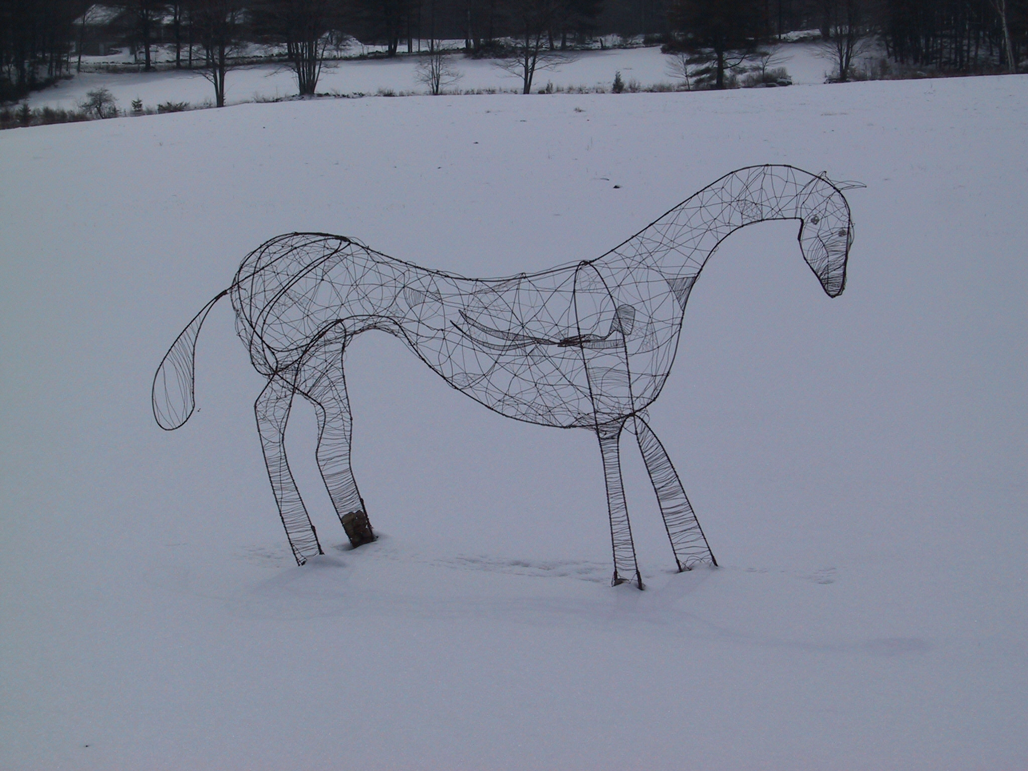 Wire sculpture of a horse