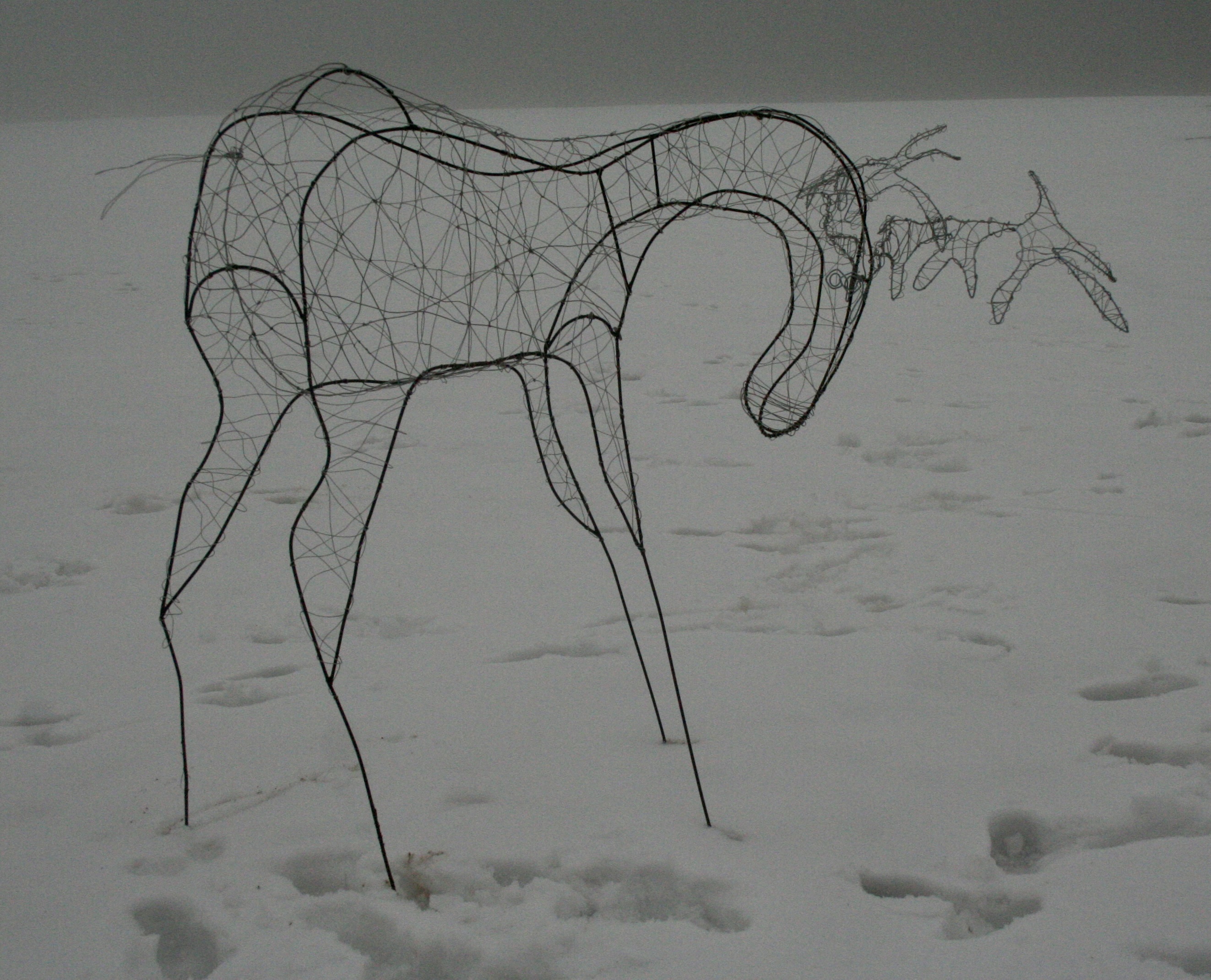 Wire beast sculpture
