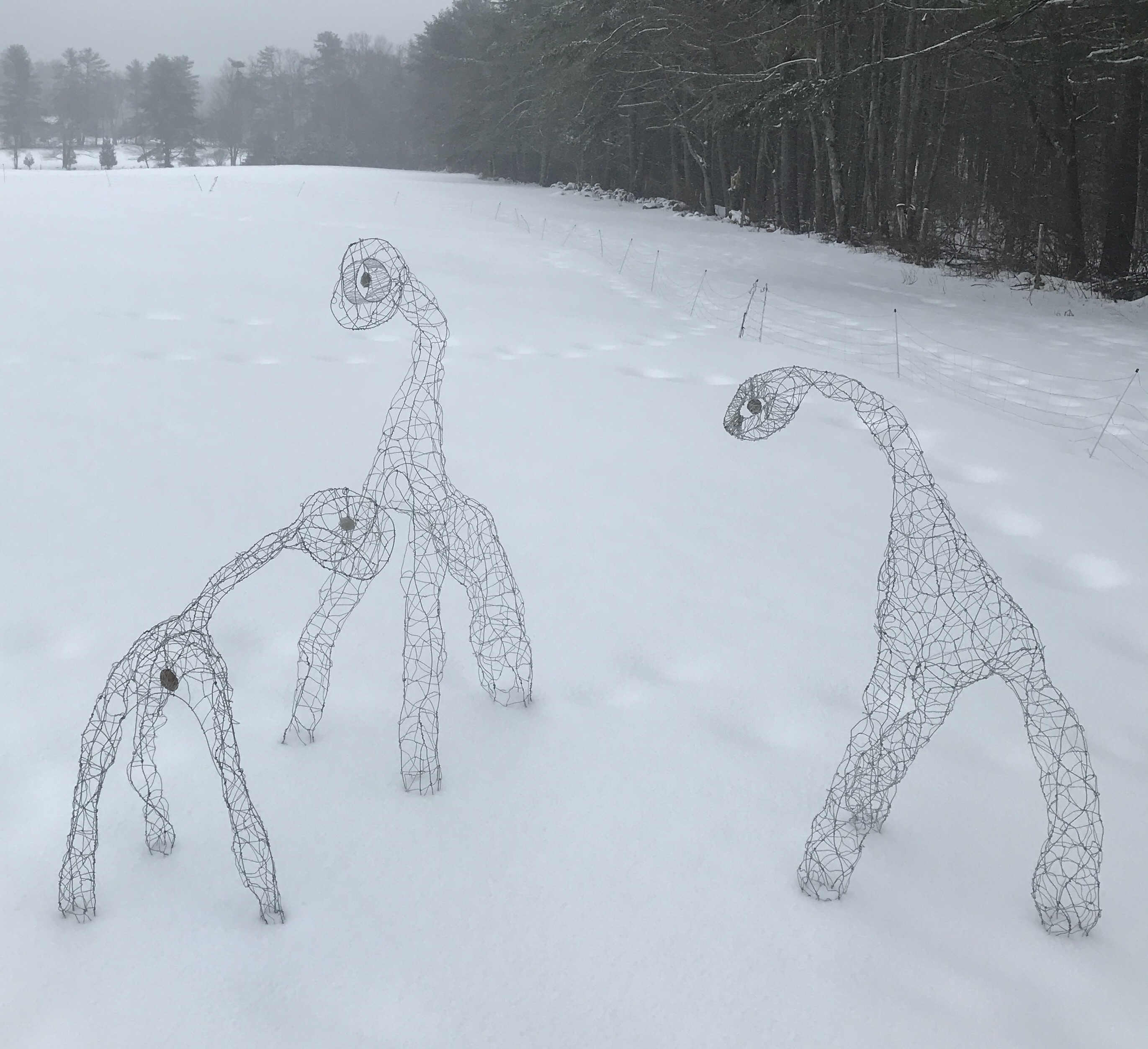 Wire beast sculpture