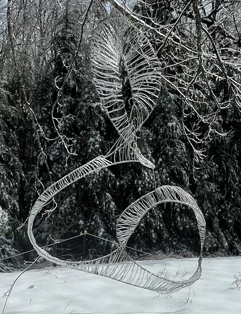 Wire beast sculpture