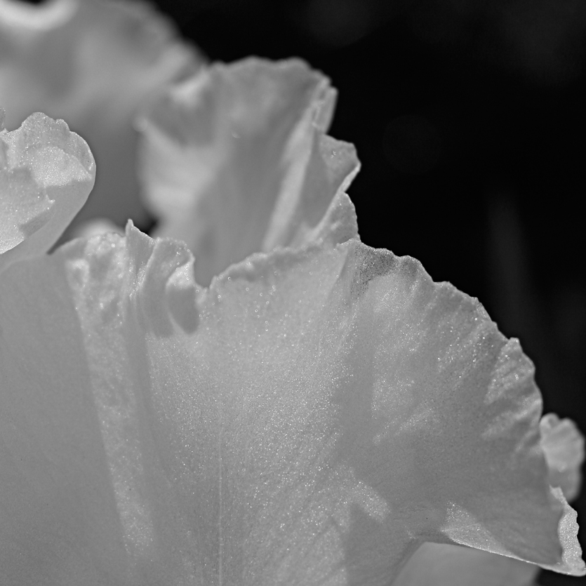 Nature photography