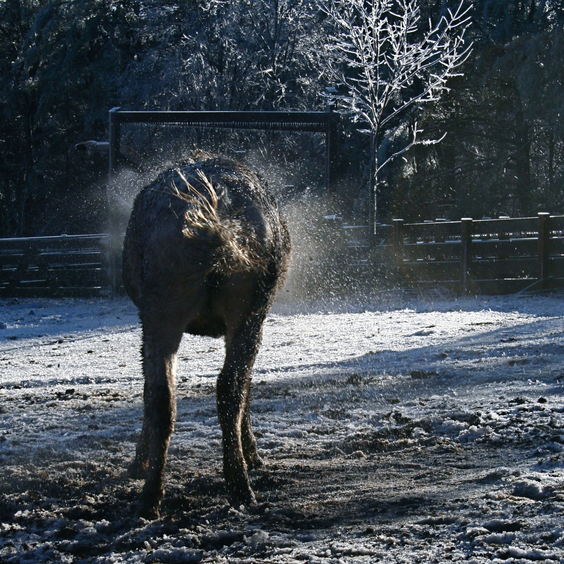 Nature photography
