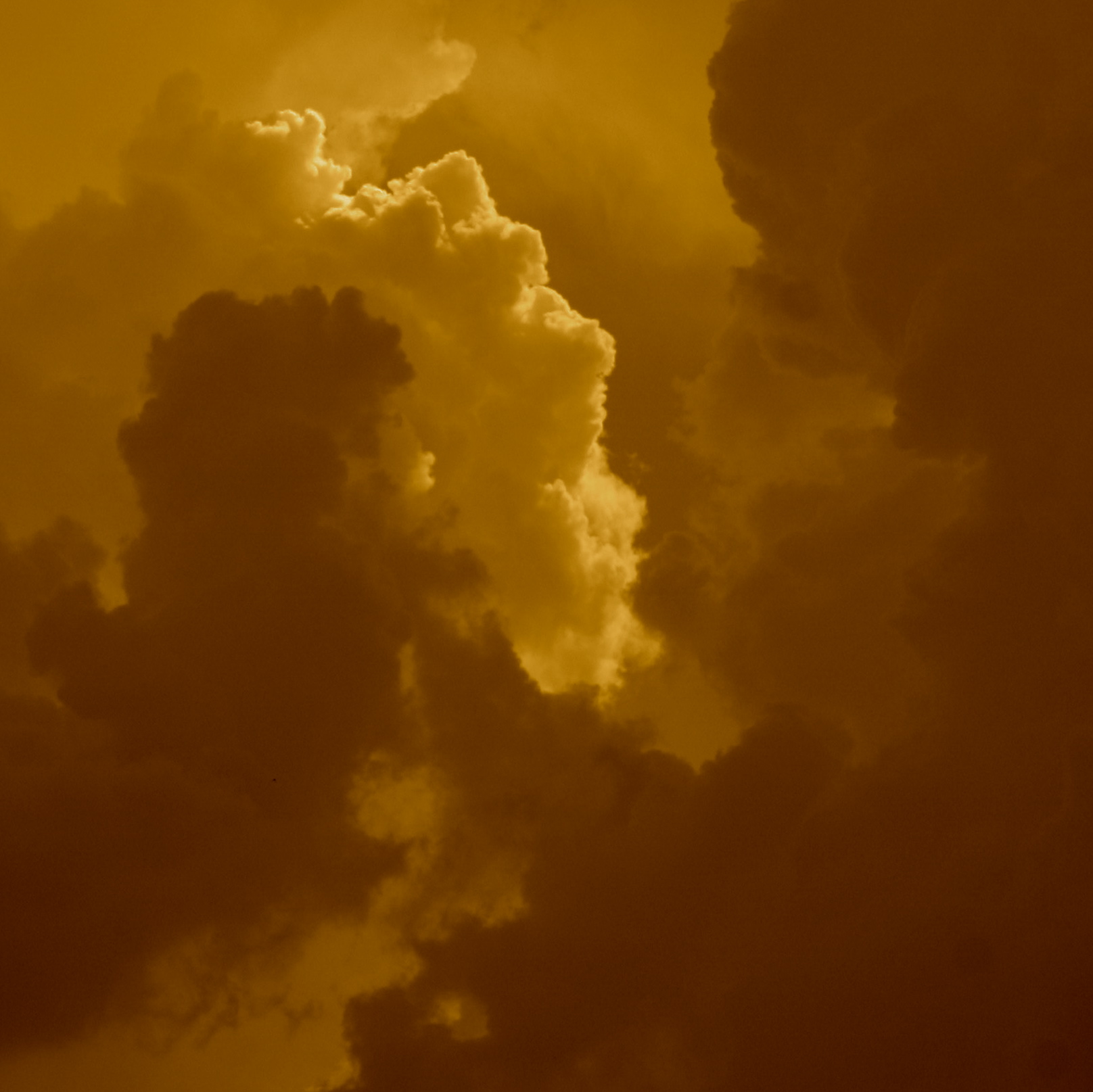 Nature photography