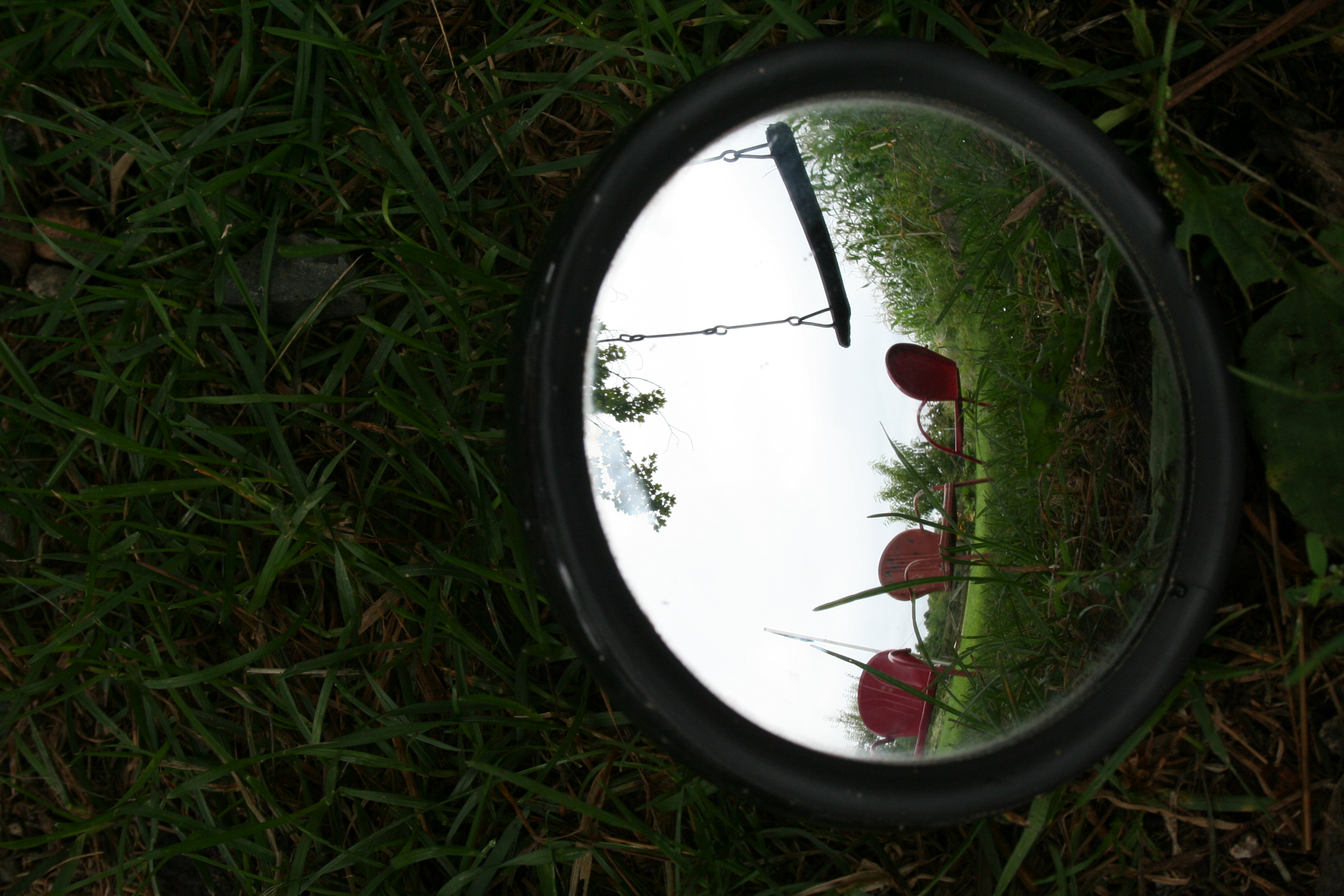 Nature photography